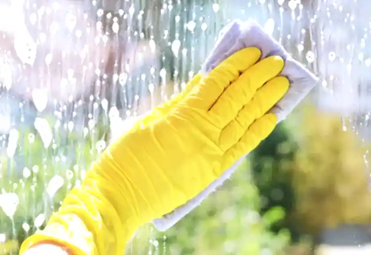 Bahçeşehir Temizlik Şirketleri